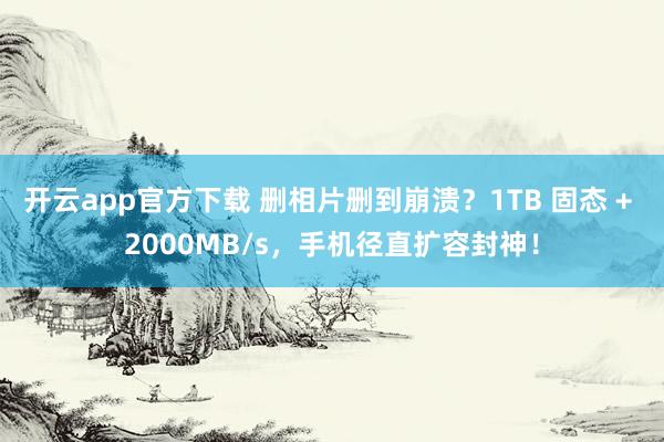 开云app官方下载 删相片删到崩溃？1TB 固态 + 2000MB/s，手机径直扩容封神！